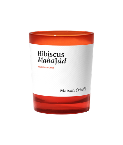 Hibiscus Mahajad Candela