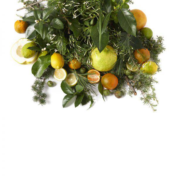 Jardin-Citrus-05-600x600.jpg