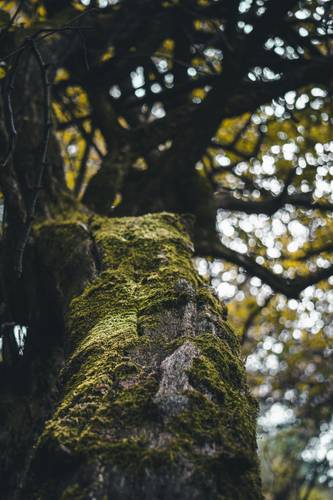 pexels-vargaphotography-14452619.jpg